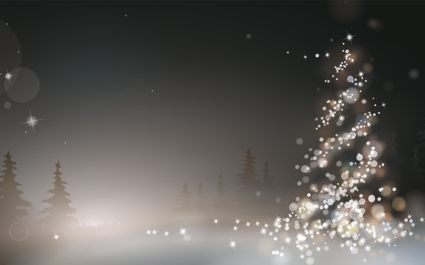 Christmas Donation